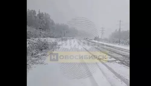 В Сети появилось видео, на котором Новосибирскую область якобы засыпало снегом