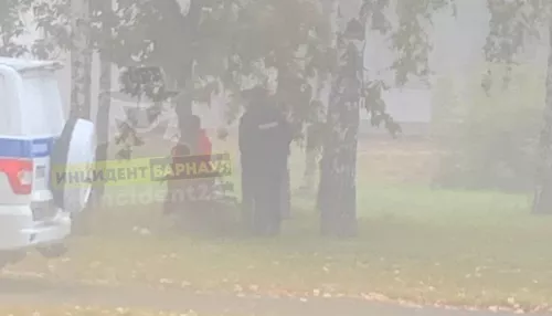 Жители Барнаула обнаружили труп женщины около дерева