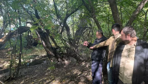 Обвиняемого в зверском убийстве любовницы в Барнауле отправили в лечебницу