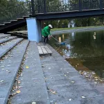 В барнаульском парке Изумрудный вылавливают рыбу из пруда