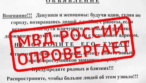 В полиции развенчали фейк о заманивании жертвы с помощью ребенка в Барнауле