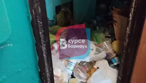 Жители Барнаула жалуются на очередную квартиру-свалку с тараканами. Фото