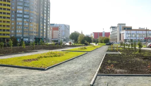В память о пожарных. В Барнауле появится еще одна зеленая зона