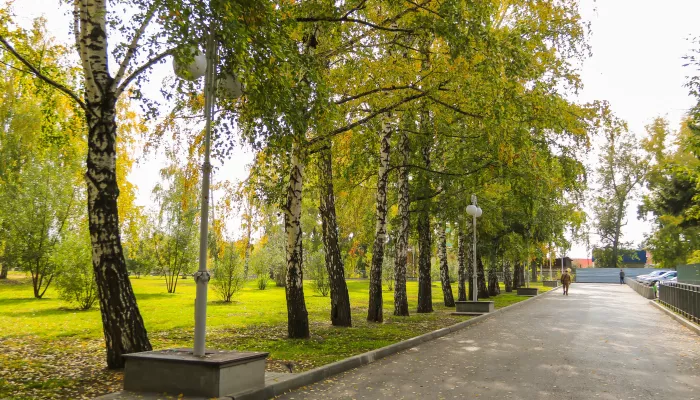 В барнаульском Нагорном парке высадят березы и липы