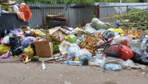 Прокуратура дала месяц мэрии Рубцовска: городу не хватает 700 контейнерных площадок