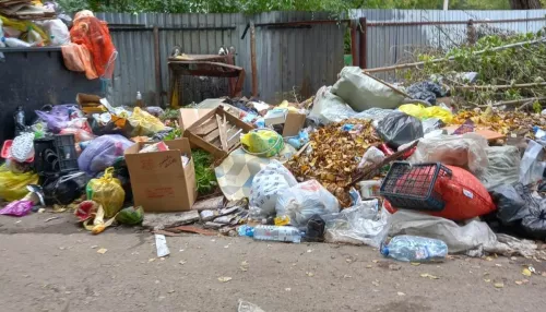 Прокуратура дала месяц мэрии Рубцовска: городу не хватает 700 контейнерных площадок