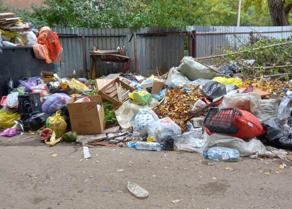 Рубцовск вновь столкнулся с ненадлежащим вывозом отходов с контейнерных площадок