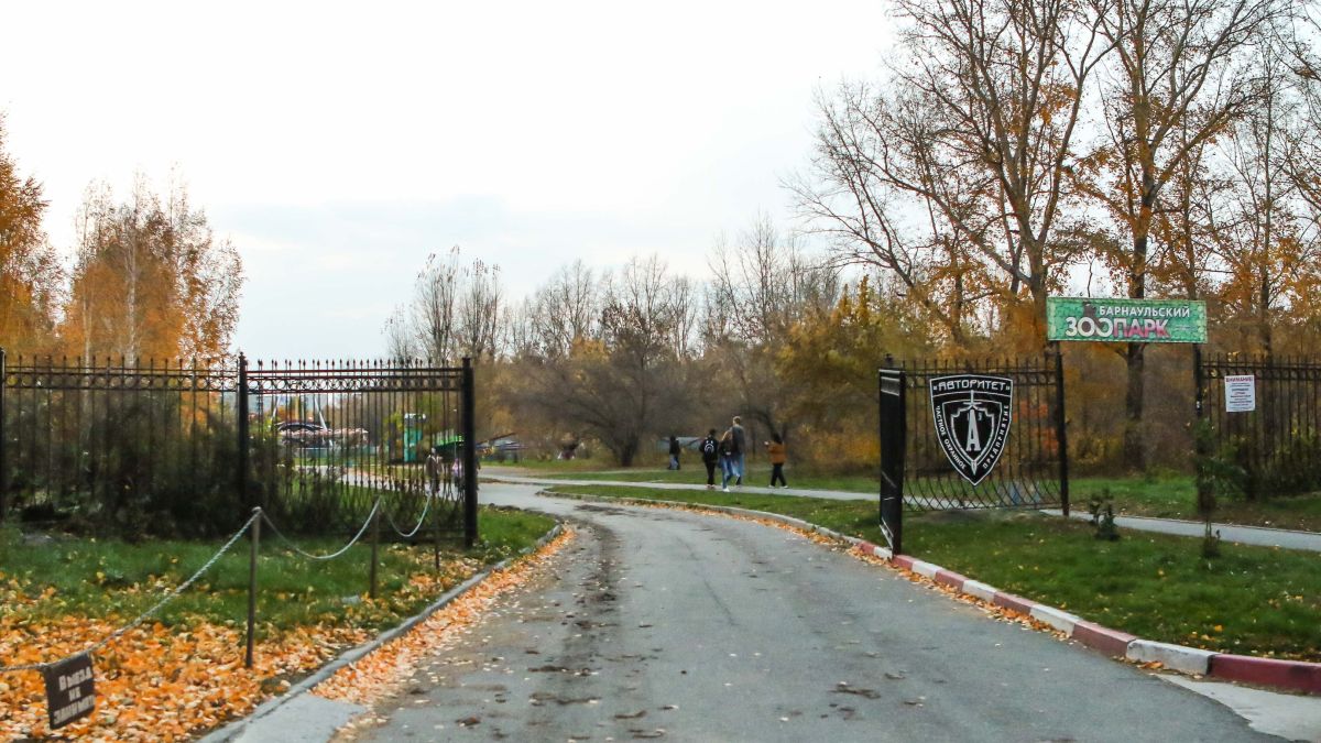 Бывший парк имени Ленина. Октябрь 2023 года