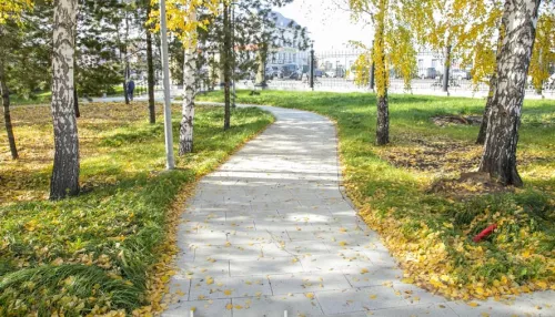 Осенний обход: какими стали парки Центральный и Юбилейный в Барнауле