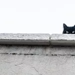 Стоит ли бояться пятницу, 13 февраля, ответил священник