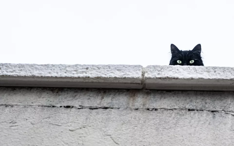 Стоит ли бояться пятницу, 13 февраля, ответил священник