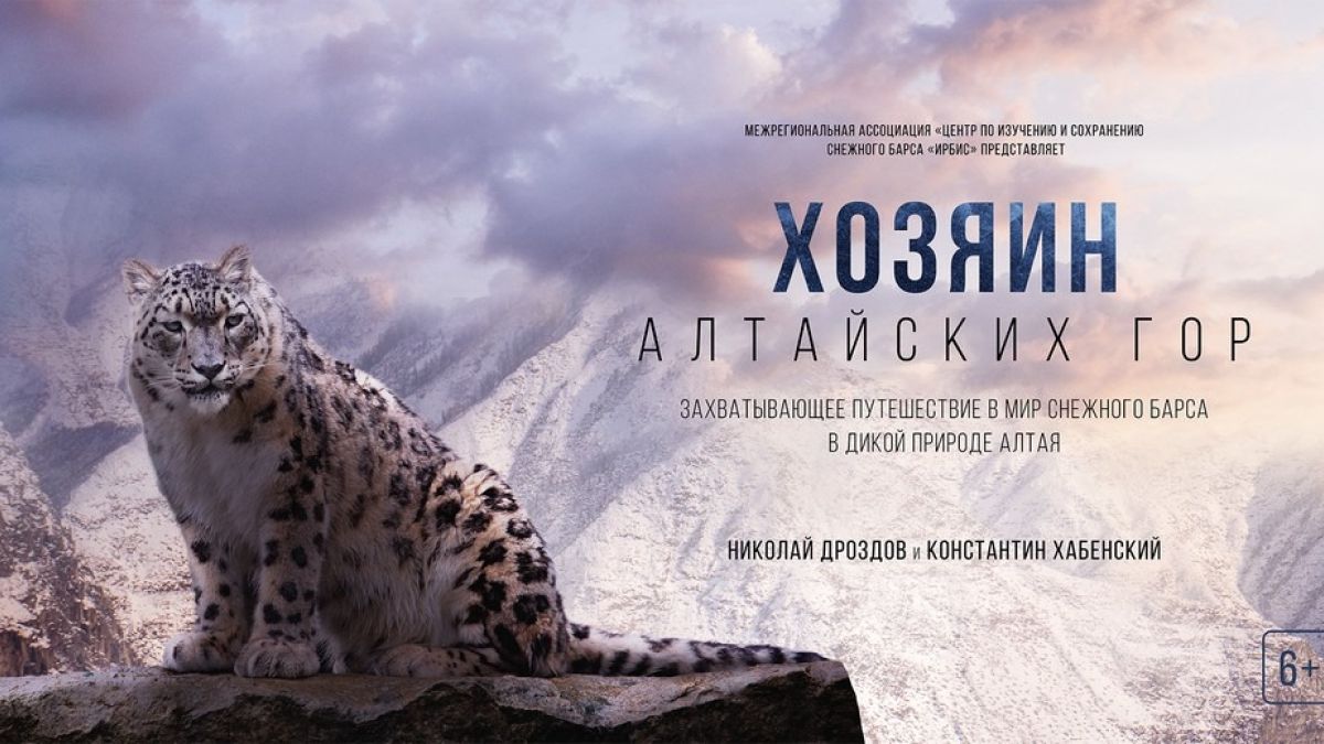Постер фильма