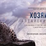 Николай Дроздов и Константин Хабенский озвучили фильм про ирбисов на Алтае
