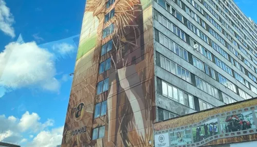 В Барнауле завершают создание мурала на стене общежития аграрного вуза