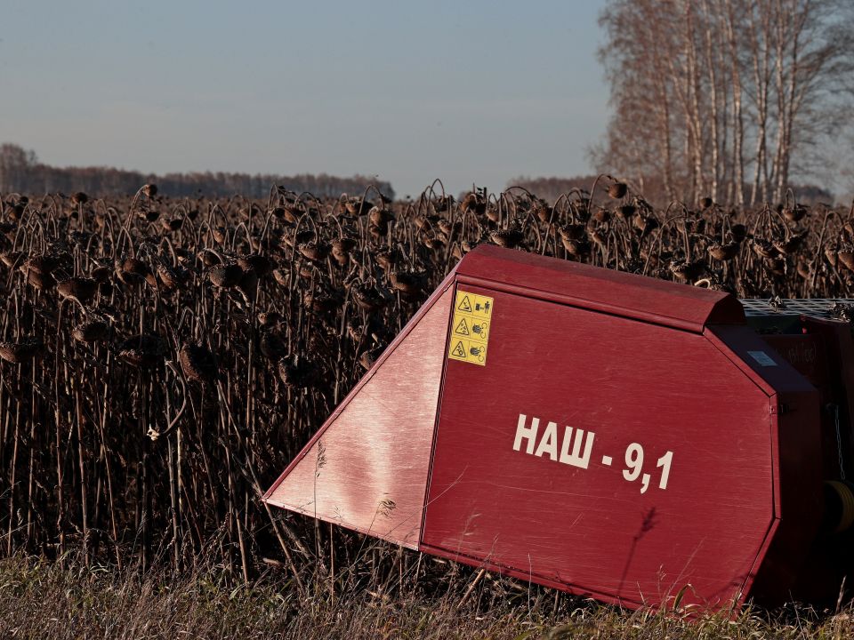 Подсолнечник. Уборочная