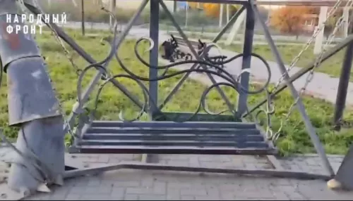 В Камне-на-Оби демонтировали опасные качели в парке отдыха