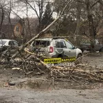 В Барнауле штормовой ветер сносит остановки и валит деревья на дороги и машины