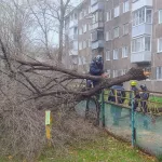 В администрации Барнаула обсудили ликвидацию последствий ураганного ветра