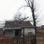 В алтайском селе тополь насквозь пробил крышу дома
