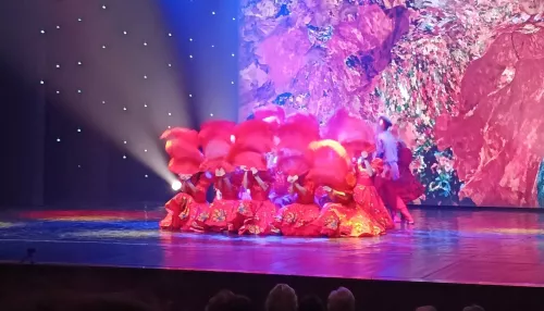 В Барнауле с аншлагом прошло выступление балета TODES