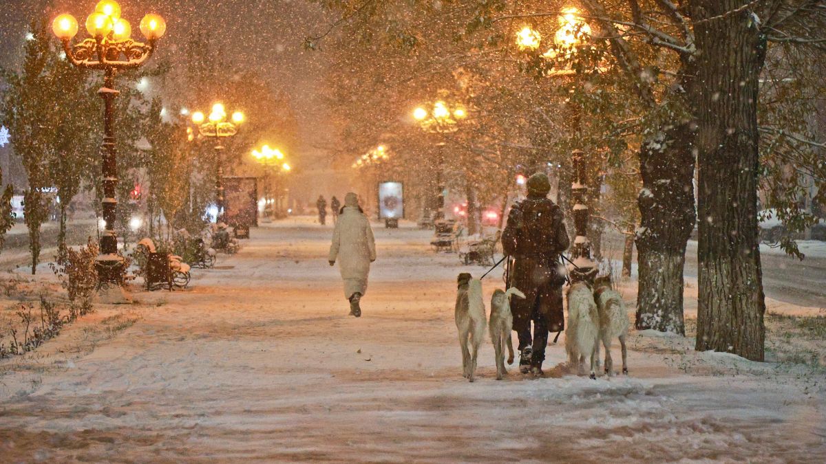 Первый снег в Барнауле 