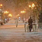До -16 и снег. Какая погода будет в Алтайском крае в праздничный день 4 ноября