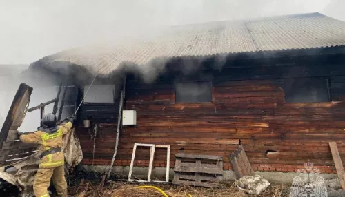 При пожаре в новосибирском конном клубе могли погибнуть 17 лошадей