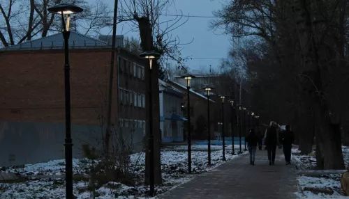 В Рубцовске зажгли полсотни фонарей на аллее участников СВО