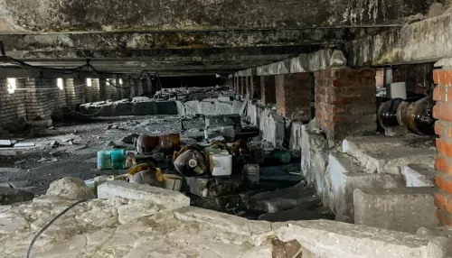 Жители барнаульской пятиэтажки пожаловались на дырявую крышу и плесень