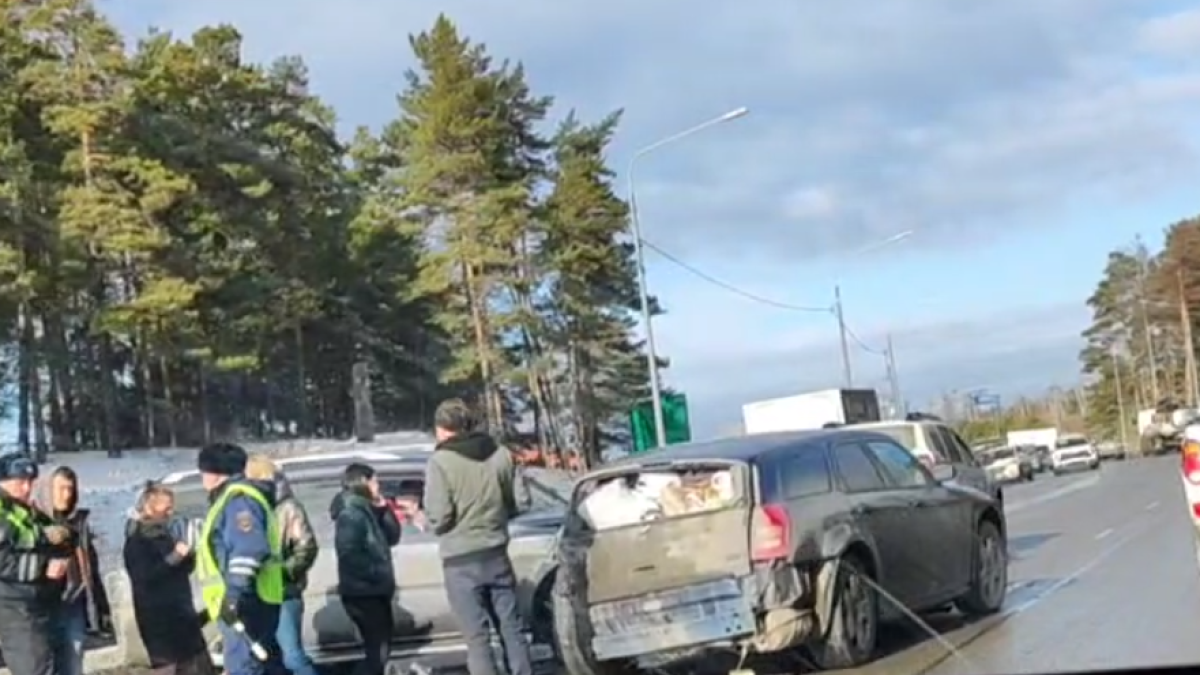 В Барнауле произошло массовое ДТП на шоссе Ленточный бор | 11.11.2023 |  Барнаул - БезФормата