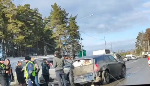 В Барнауле произошло массовое ДТП на шоссе Ленточный бор