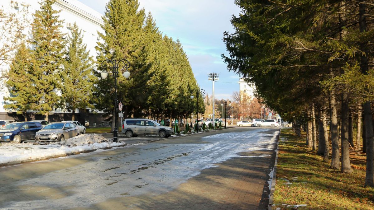 Ноябрьское потепление в Барнауле 
