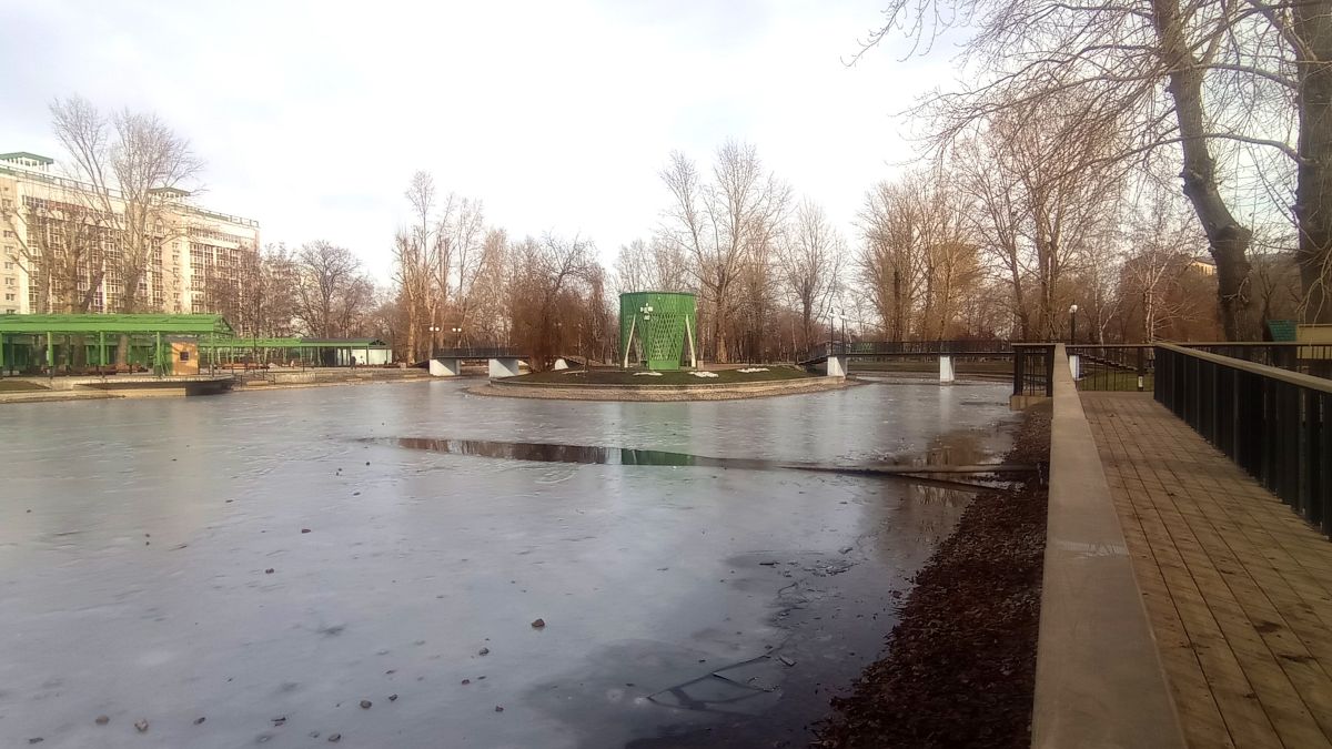 Пруд парка "Изумрудного"