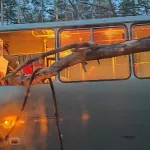 В Алтайском крае вырванное ветром дерево насквозь пробило автобус