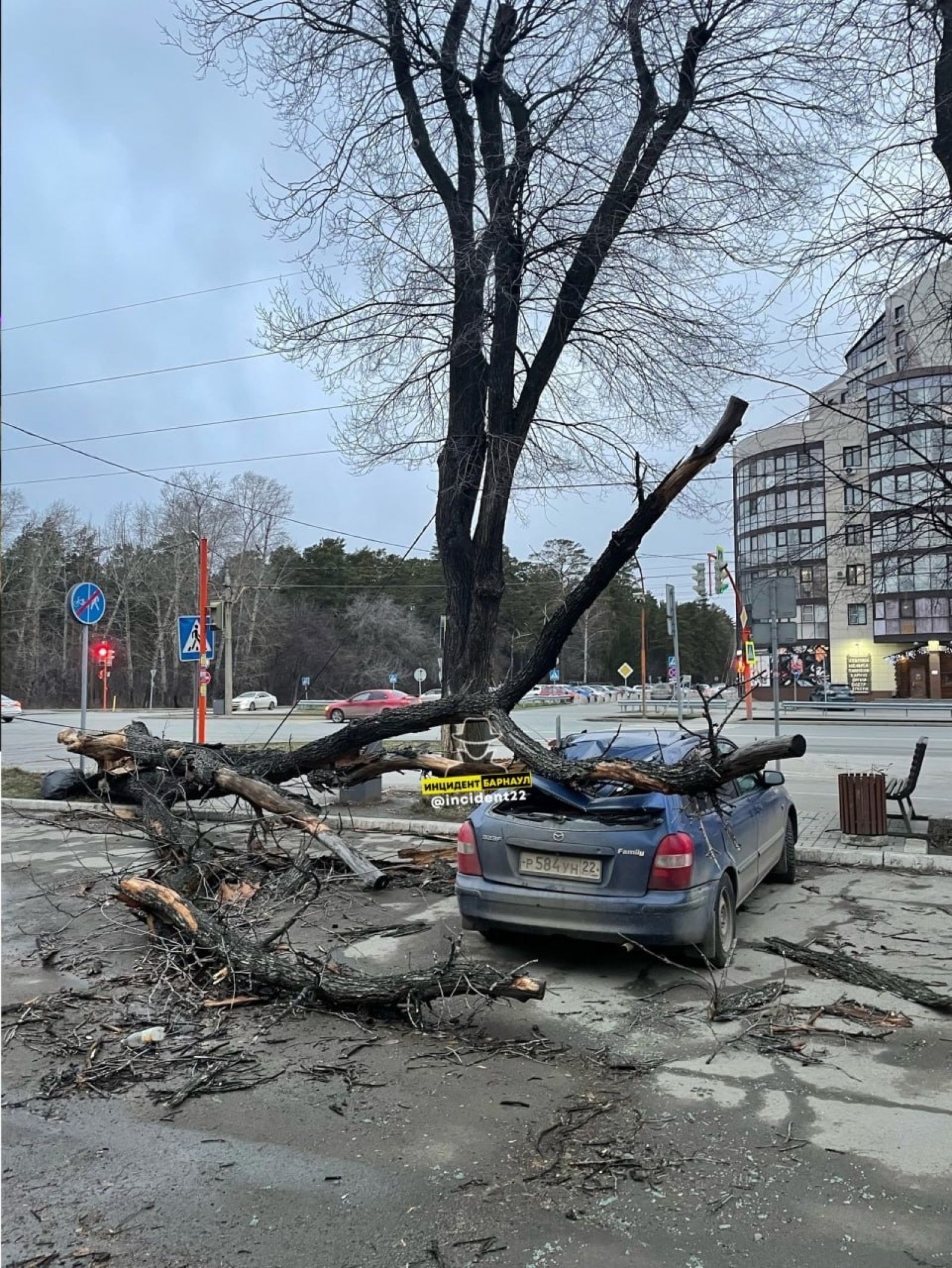 Можно ли получить компенсацию за разбитые в ураган авто - Толк 21.11.2023