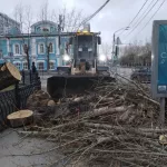 В Барнауле службы убирают деревья и восстанавливают остановки. Фото