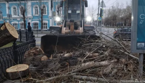 В Барнауле службы убирают деревья и восстанавливают остановки. Фото