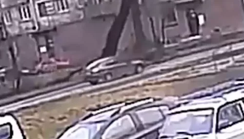 В Новокузнецке дерево упало на автомобиль – двое погибли