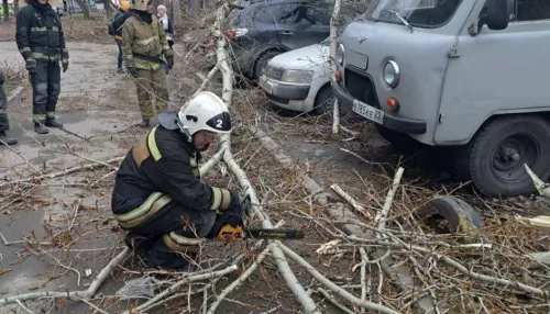 В Барнауле из-за урагана пострадало более 30 автомобилей