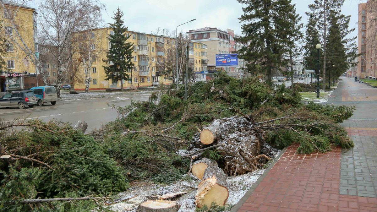 Последствия урагана в Барнауле 