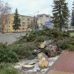 В Барнауле сотни людей устраняют последствия разрушительного урагана