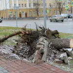 Синоптики рассказали, где пронесся самый мощный ураган в Алтайском крае