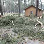 Глава Барнаула объехал пострадавшие от урагана муниципальные объекты