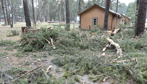 Глава Барнаула объехал пострадавшие от урагана муниципальные объекты