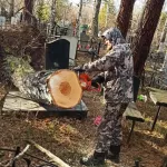 В Барнауле с кладбищ вывозят сломанные ветки и деревья
