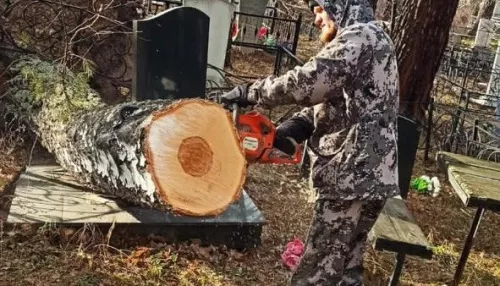В Барнауле с кладбищ вывозят сломанные ветки и деревья