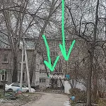 Барнаульцы переживают из-за опасно наклоненного над газовой трубой дерева