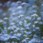 С праздником весны! Нежные поздравления любимым девушкам и женщинам с 8 Марта