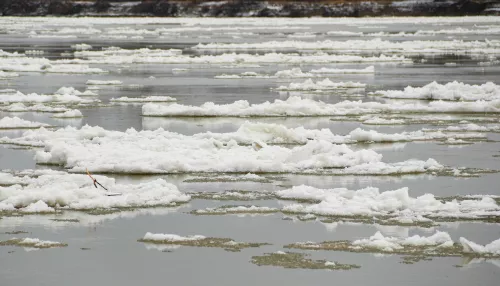 На реке Оби в районе Барнаула начался ледоход