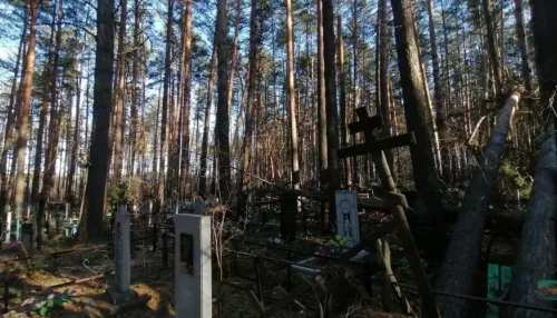 Жители Алтайского края своими силами приводят в порядок кладбища после урагана